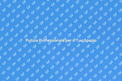 Servizio Professionale per la Pulizia