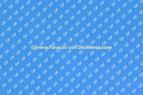 Disinfestazione Efficace per la Casa