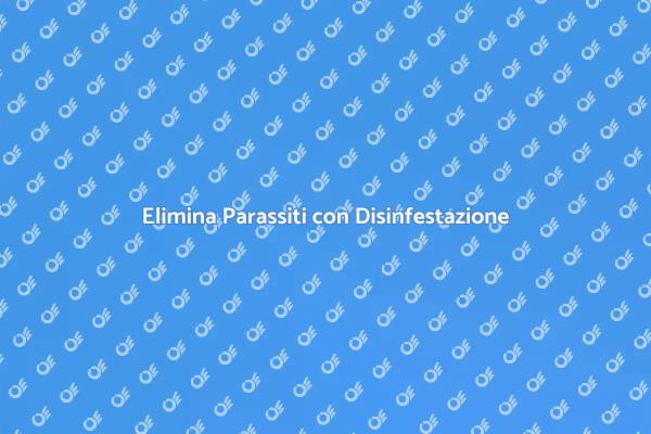 Proteggi la Tua Casa dai Parassiti