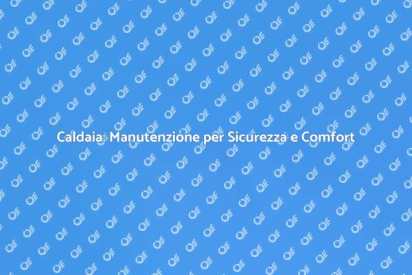 Caldaia: Investi nel Tuo Comfort Domestico