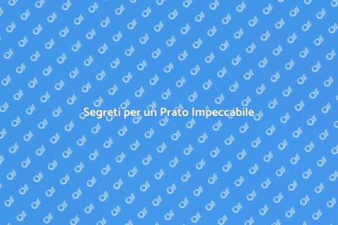 Far Crescere un Prato Perfetto
