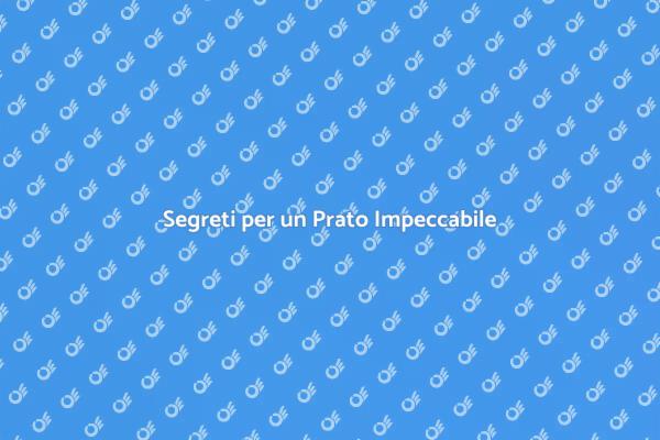 Guida alla Crescita di un Prato Perfetto