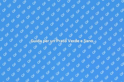Mantieni un Prato Sano e Rigoglioso