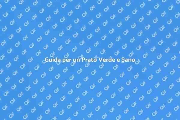 Come Avere un Prato Sano e Verde