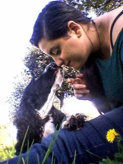 dogsitter, educatore cinofilo - Foto 1