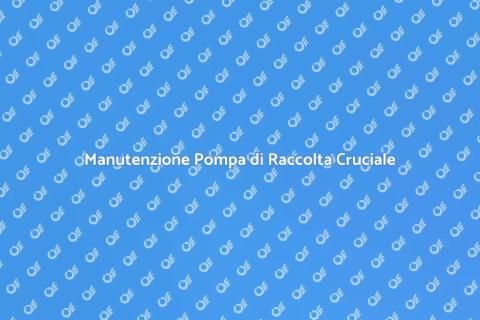 Manutenzione Pompa di Raccolta Essenziale