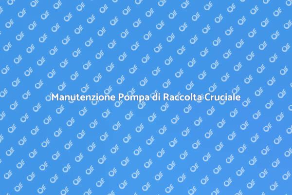 Manutenzione Pompa: Chiave per Efficienza