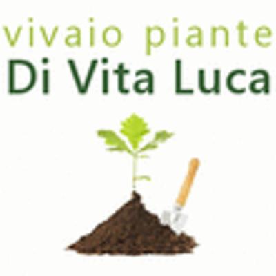 Vivaio Piante di Vita Luca  - Foto 1