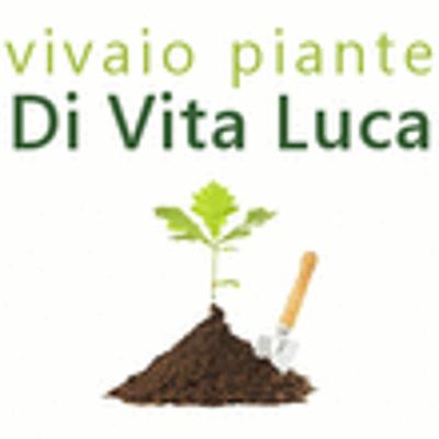 Vivaio Piante di Vita Luca