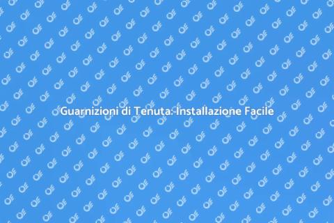 Installare Guarnizioni di Tenuta