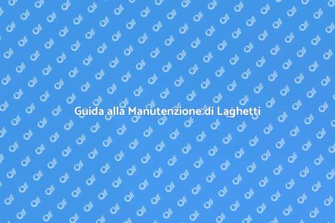 Manutenzione Laghetto con Pesci Esotici