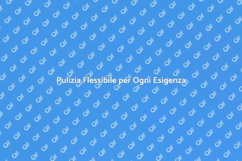 Sistema di Pulizia Programmabile