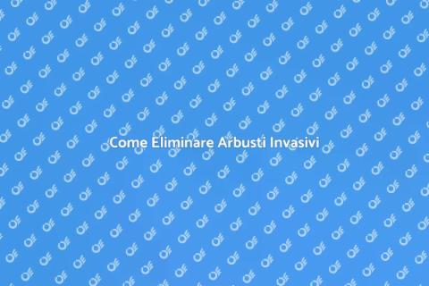 Rimuovere Arbusti Invasivi: Guida Pratica