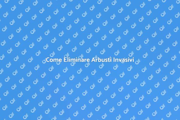 Rimozione Efficace di Arbusti Invasivi