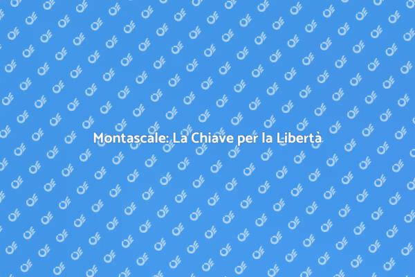 Montascale: La Soluzione Innovativa