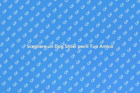 Dog Sitter: Felicità per il Tuo Cane