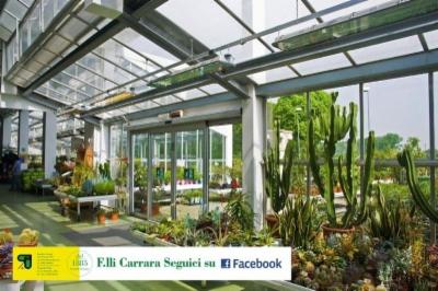 Fratelli Carrara  - Foto 7