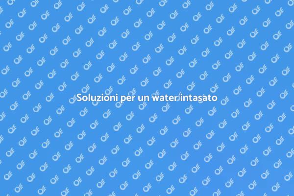 Ecco come risolvere il water intasato