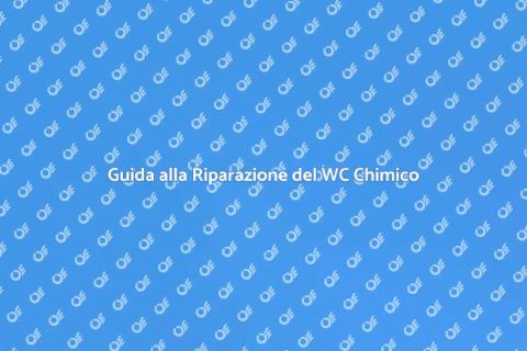 Riparare Perdite WC Chimico