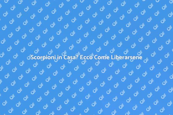 Liberati dai Scorpioni in Casa Subito!