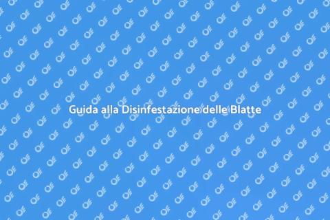 Disinfestare l'Ambiente da Blatte
