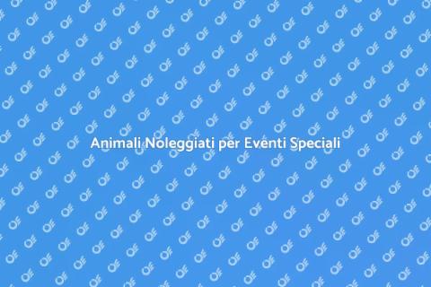 Noleggio Animali per Eventi Unici