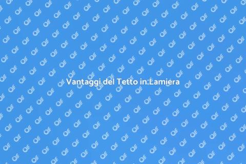 Installazione Tetto in Lamiera