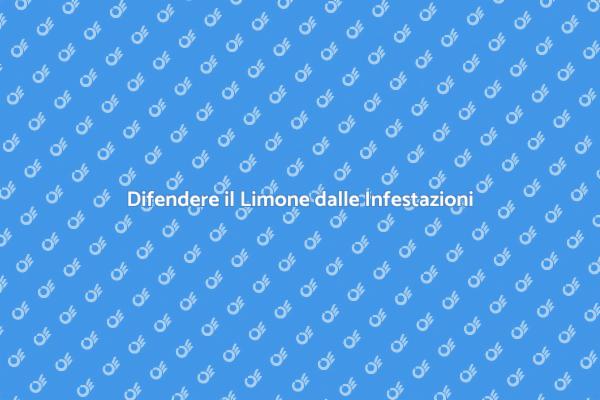 Proteggi il Tuo Limone da Infestazioni