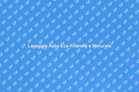 Pulizia Veicolo con Prodotti Naturali