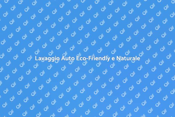 Cura del Veicolo con Prodotti Naturali