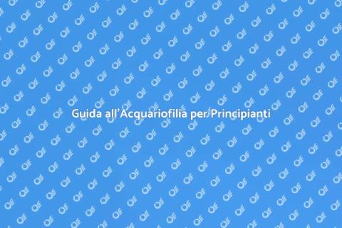 Consulenza per l'Acquariofilia