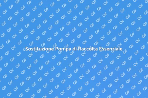 Pompa di Raccolta: Installazione Cruciale