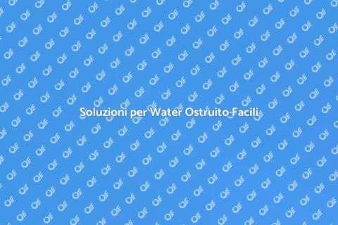 Risolvere il Water Ostruito in Casa