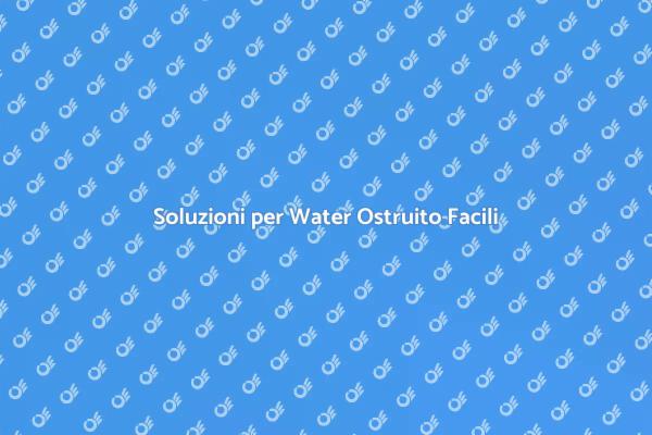 Come Risolvere il Water Ostruito