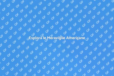 Tour delle Città Americane