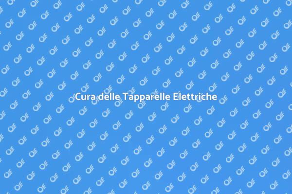 Manutenzione delle Tapparelle Elettriche
