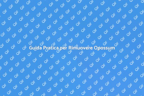 Rimozione Efficace di Opossum in Casa