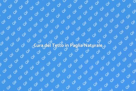 Manutenzione Tetto in Paglia Naturale