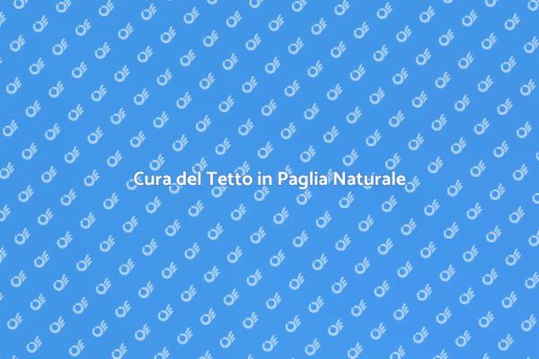Manutenzione Efficace del Tetto in Paglia