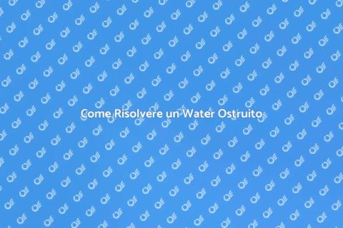 Risolvere il Problema del Water Ostruito
