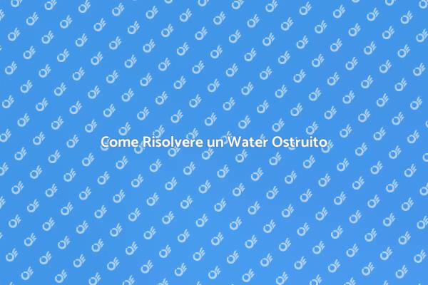 Soluzioni Efficaci per Water Ostruito
