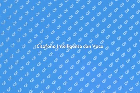 Controllo Citofono con Voce