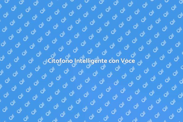 La Nuova Era del Citofono Vocale