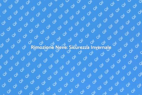 Servizi di Rimozione della Neve