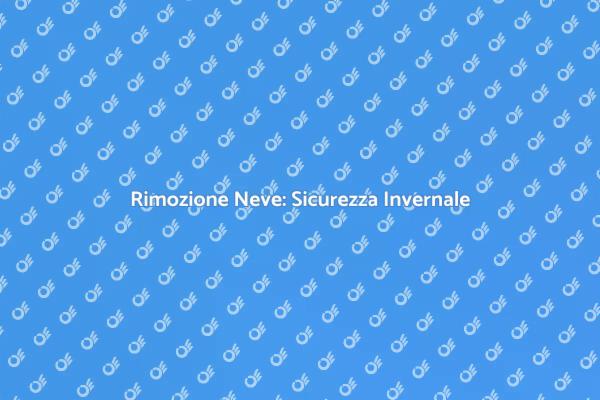 Sicurezza e Rimozione della Neve