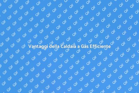 Caldaia a Gas Alta Efficienza
