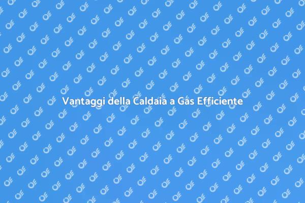 Caldaia Gas: Soluzione Efficiente