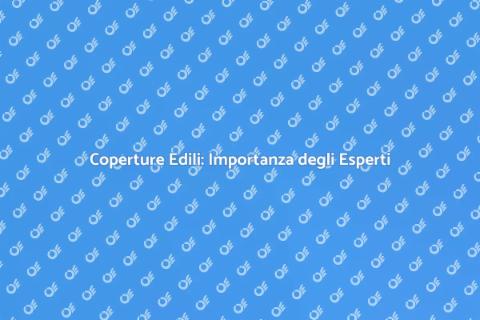 Appaltatori di Coperture Professionali