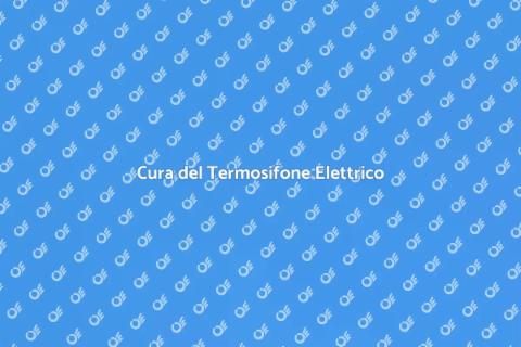 Manutenzione Termosifone Elettrico