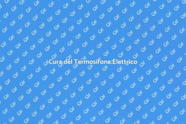 Guida alla Manutenzione del Termosifone